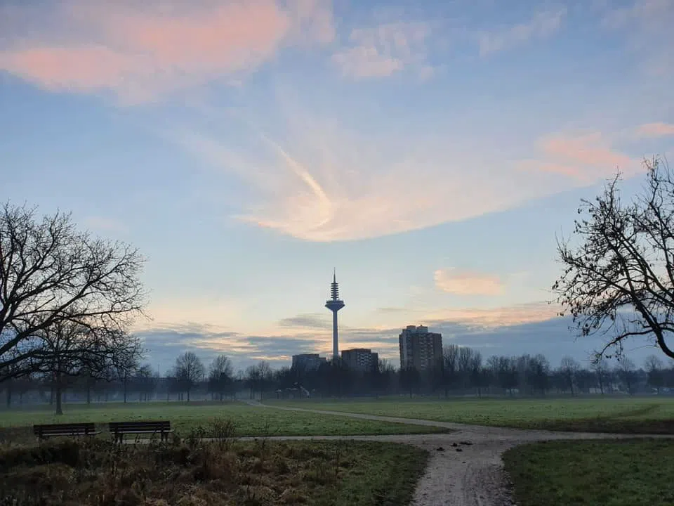 Nidda parkrun, Frankfurt