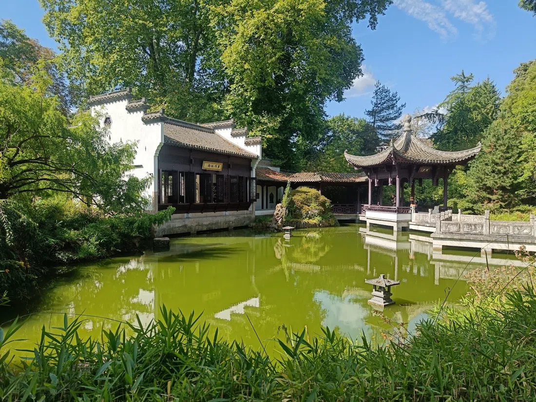 Bethmannpark & Chinese Garden, Frankfurt