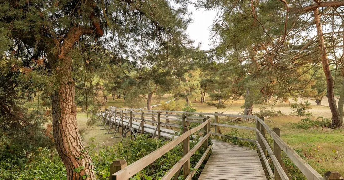 Frankfurter Stadtwald (Frankfurt City Forest), Frankfurt