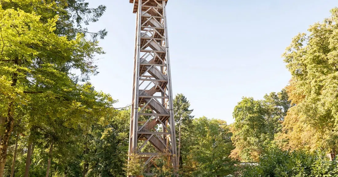 Goetheturm & forest play park, Frankfurt