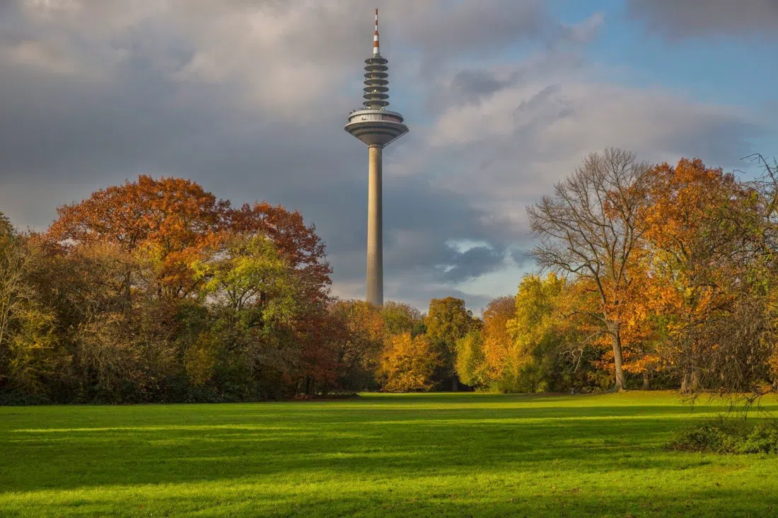 Grüneburgpark, Frankfurt