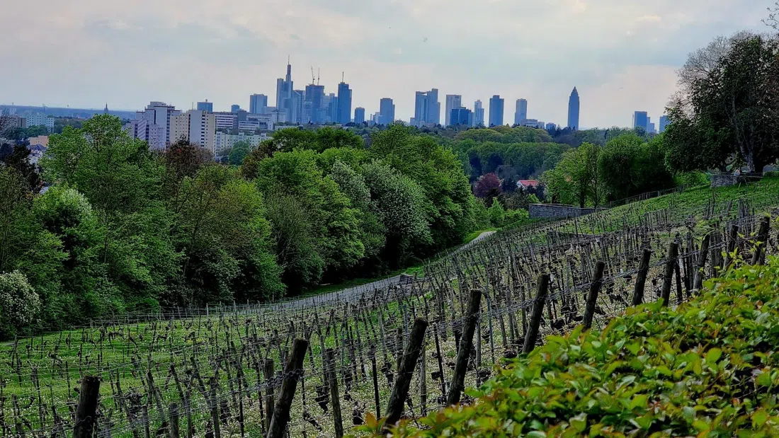 Lohrberg, Frankfurt