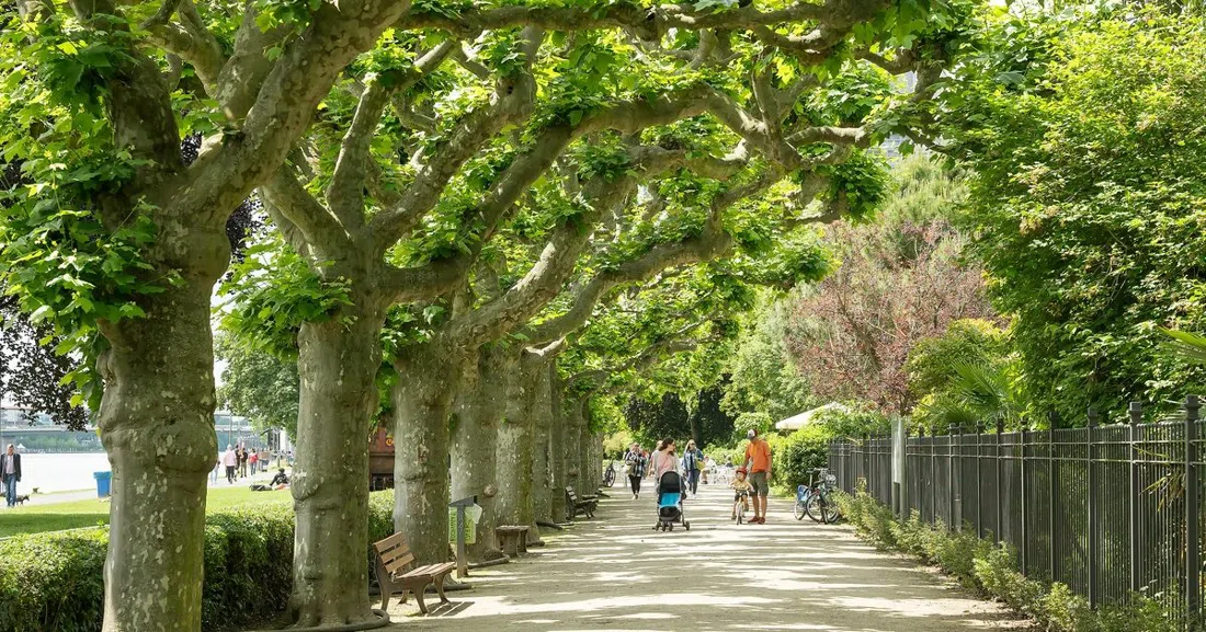 Nizza Garden (Nizza-Anlage), Frankfurt