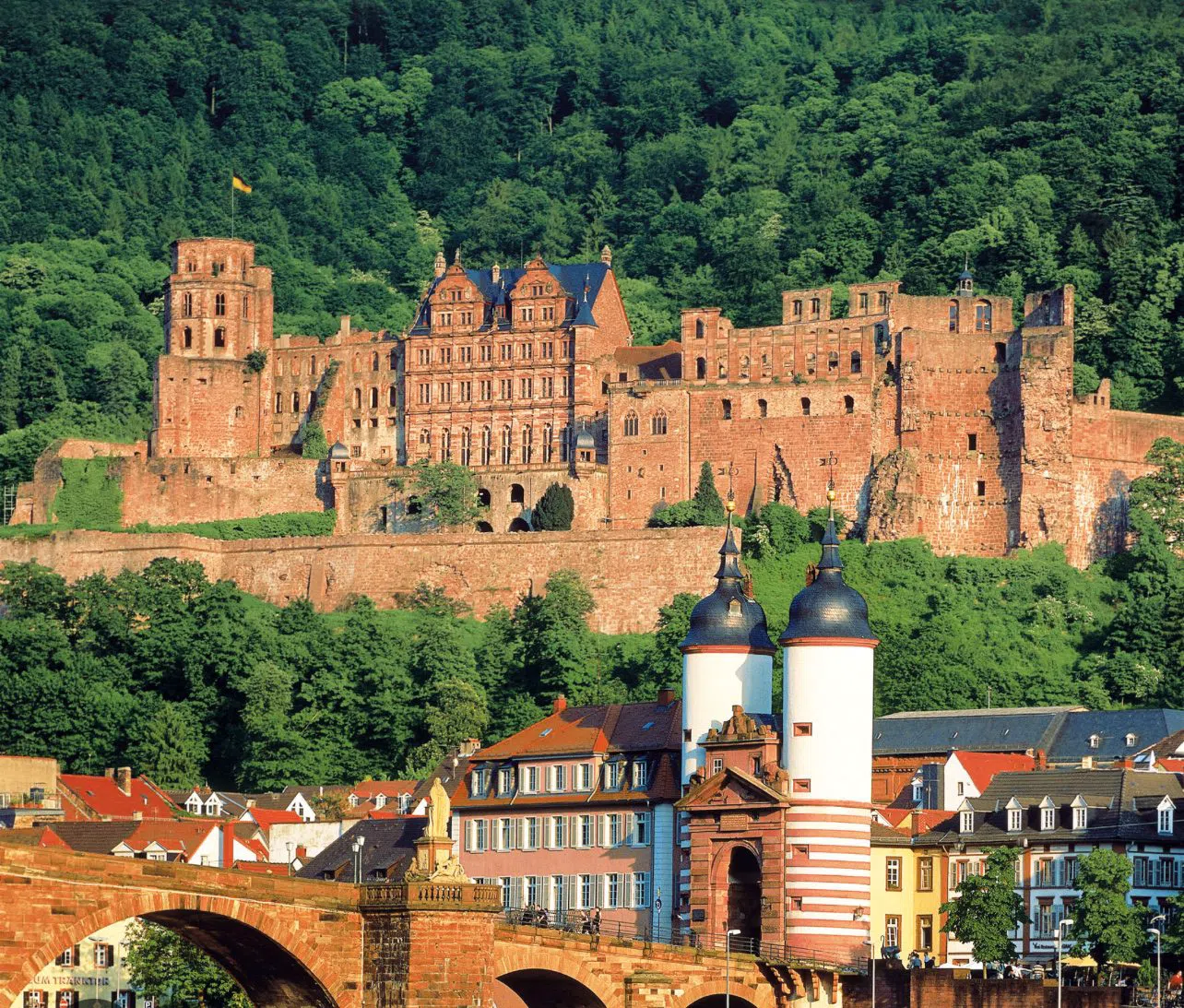 From Frankfurt to Heidelberg and Rothenburg in One October Day